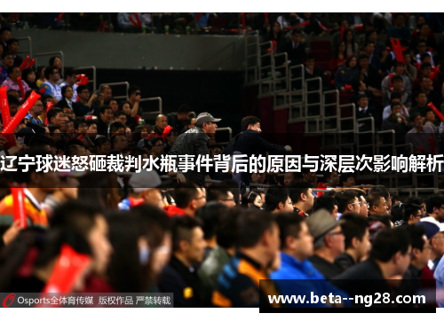 辽宁球迷怒砸裁判水瓶事件背后的原因与深层次影响解析 辽宁球迷怒砸裁判水瓶事件背后的原因与深层次影响解析