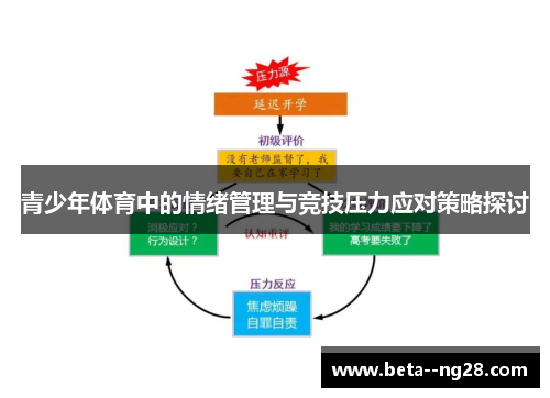 青少年体育中的情绪管理与竞技压力应对策略探讨
