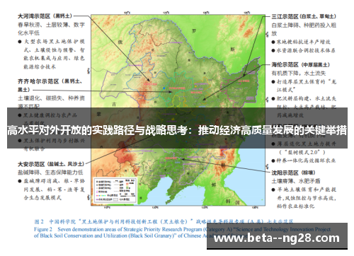 高水平对外开放的实践路径与战略思考：推动经济高质量发展的关键举措