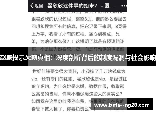赵鹏揭示欠薪真相：深度剖析背后的制度漏洞与社会影响